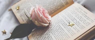 陇南武都区保研辅导班