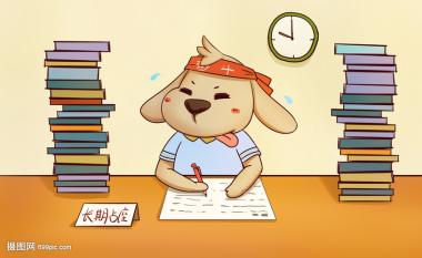 2026年衢州柯城区公务员考试辅导机构