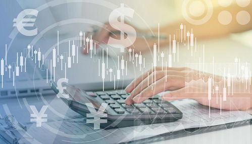 十大2026年泸州江阳区注册会计师辅导班排行榜