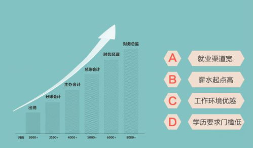 十大2026年上海嘉定区管理会计培训学校排行榜