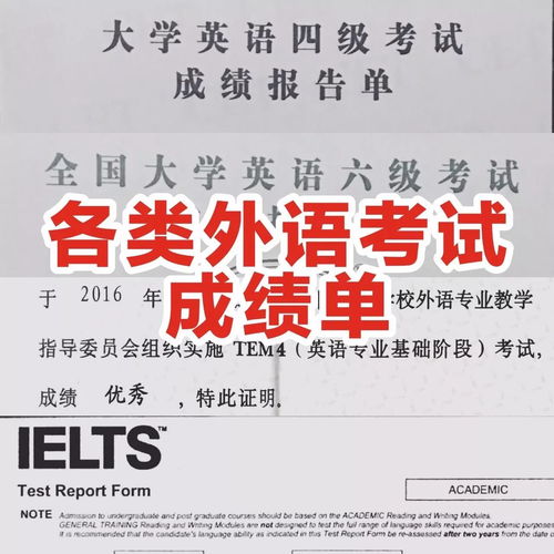 铜陵郊区保研培训机构