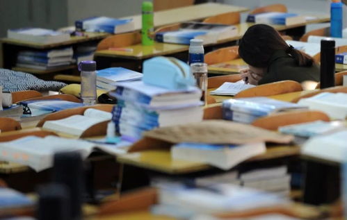 台州保研加分培训机构