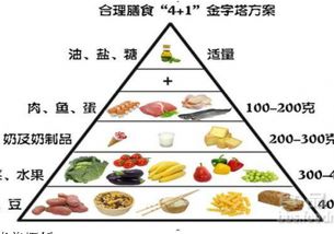 十大包头公共营养师辅导班排行榜